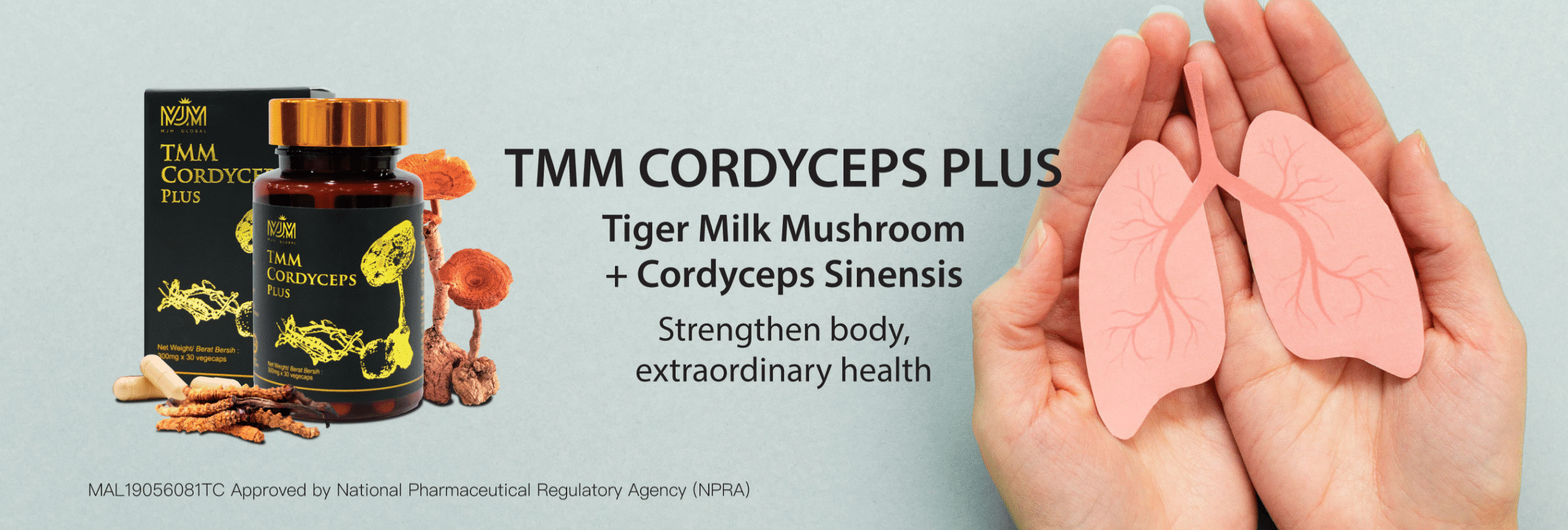 cordyceps-en-web-banner